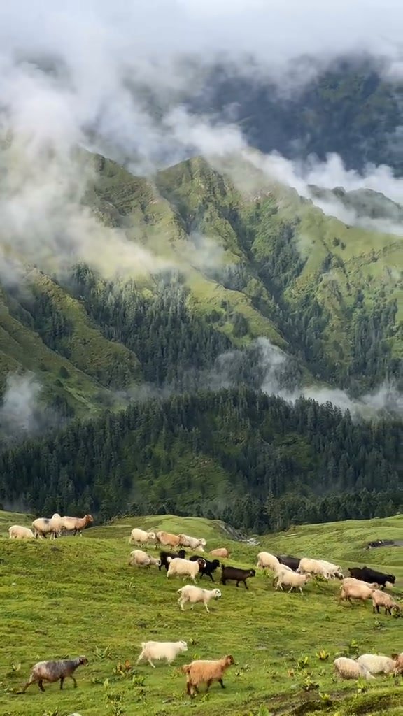 Khumbu Nangpala Trek & Exp.Pvt.Ltd