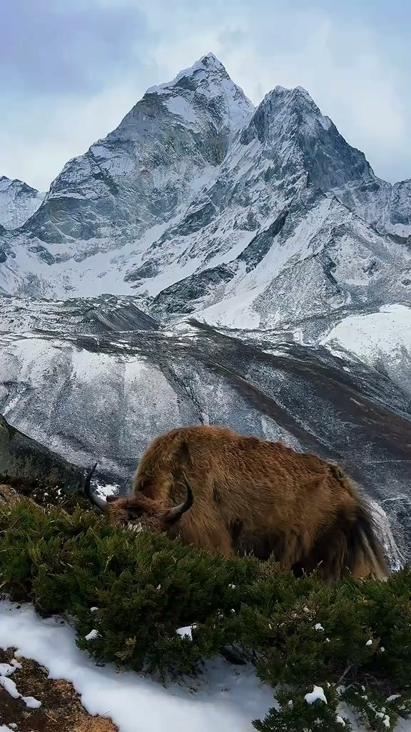 Khumbu Nangpala Trek & Exp.Pvt.Ltd